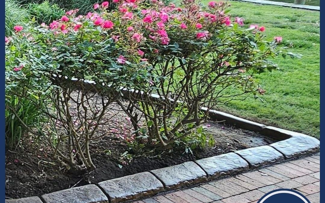 Concrete Curb Landscape Edging: Enhance Your Property’s Aesthetic and Value